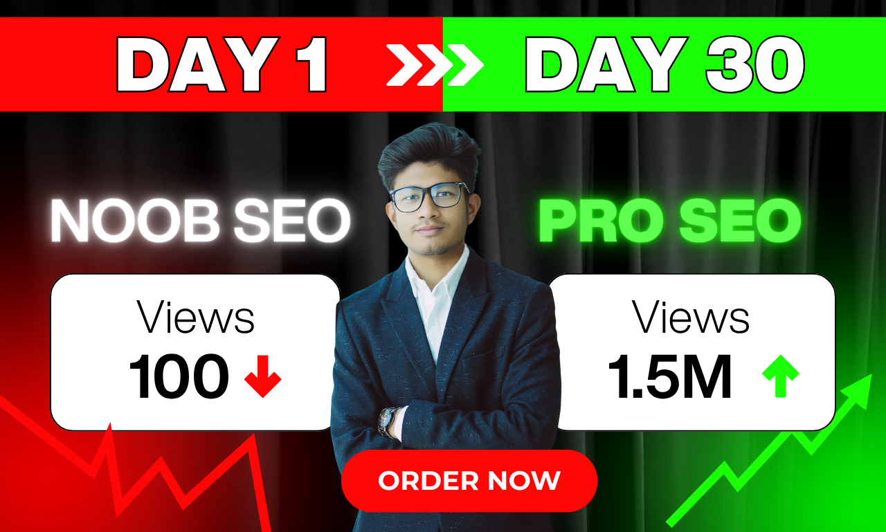 I will do best youtube video SEO expert optimization and channel growth manager