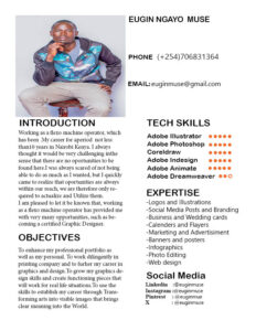 Graphics designer
